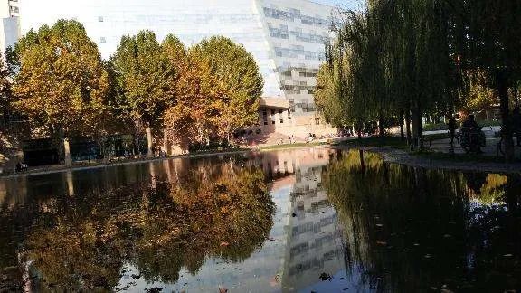 中国传媒大学为什么被称为“海底捞大学”?