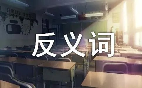 迅速的反义词