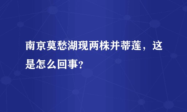 南京莫愁湖现两株并蒂莲，这是怎么回事？