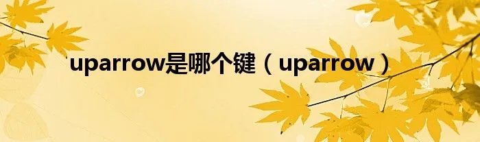 uparrow是哪个键(uparrow)