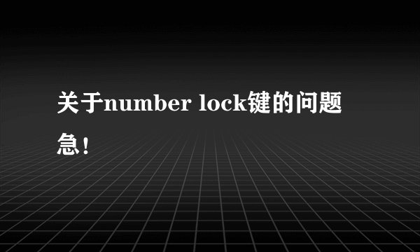 关于number lock键的问题 急！