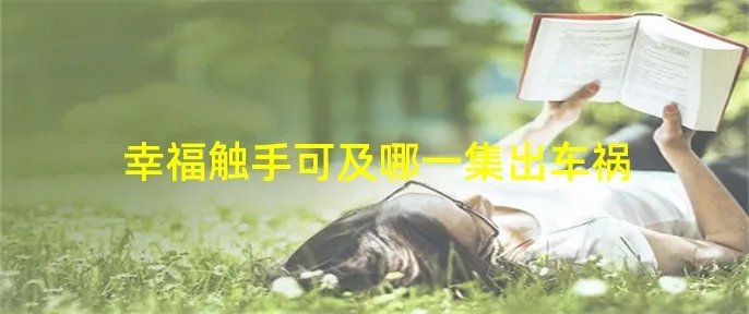 幸福触手可及哪一集出车祸