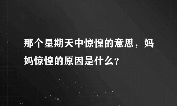 那个星期天中惊惶的意思，妈妈惊惶的原因是什么？