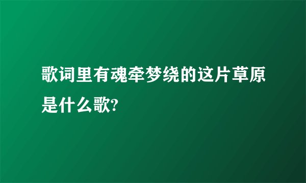 歌词里有魂牵梦绕的这片草原是什么歌?
