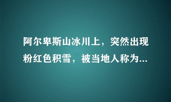 阿尔卑斯山冰川上，突然出现粉红色积雪，被当地人称为是西瓜雪