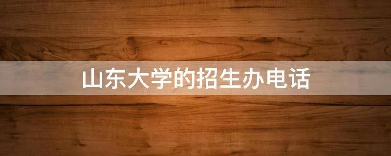 山东大学的招生办电话