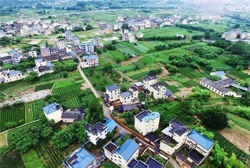非农业户口有什么政策