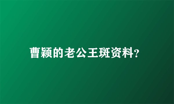 曹颖的老公王斑资料?