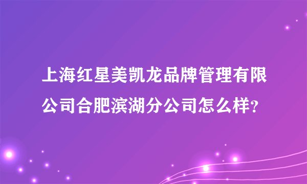 上海红星美凯龙品牌管理有限公司合肥滨湖分公司怎么样？