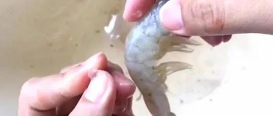 注胶虾到底是怎么回事?