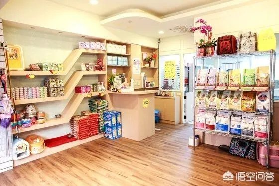 学宠物美容以后就可以自己开店吗?有哪些建议?
