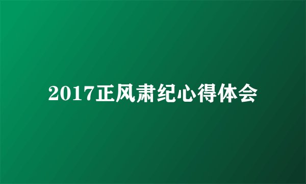 2017正风肃纪心得体会
