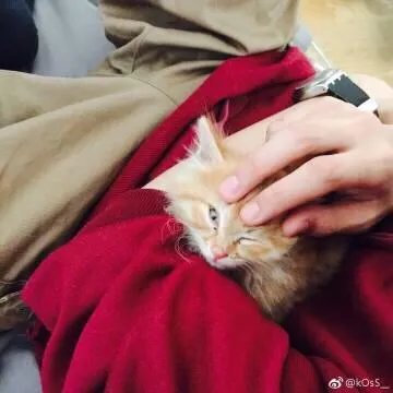 大型偶像养成类综艺《明日之子》里你最喜欢哪个选手？