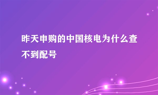 昨天申购的中国核电为什么查不到配号
