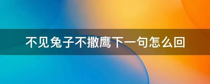 不见兔子不撒鹰下一句怎么回