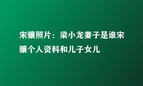 宋骧照片：梁小龙妻子是谁宋骧个人资料和儿子女儿