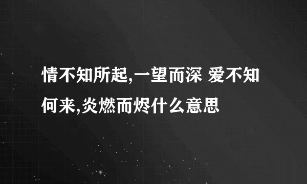 情不知所起,一望而深 爱不知何来,炎燃而烬什么意思