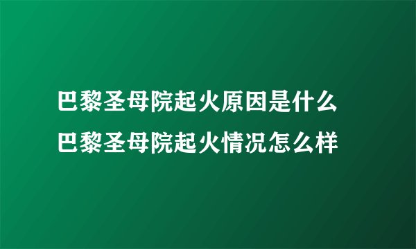 巴黎圣母院起火原因是什么  巴黎圣母院起火情况怎么样