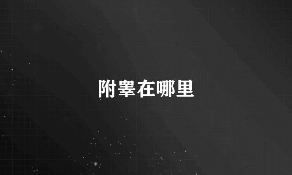 附睾在哪里