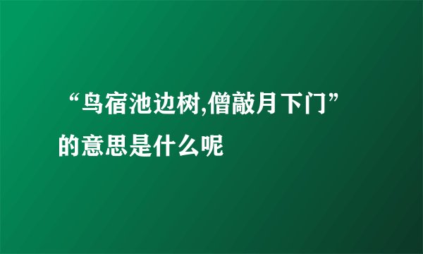 “鸟宿池边树,僧敲月下门”的意思是什么呢