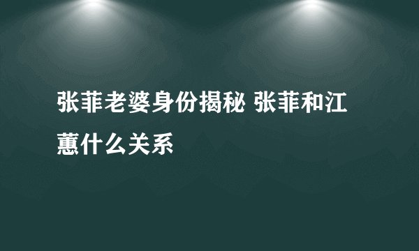 张菲老婆身份揭秘 张菲和江蕙什么关系