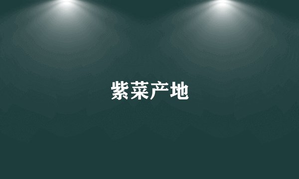 紫菜产地