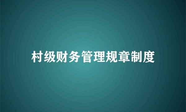 村级财务管理规章制度