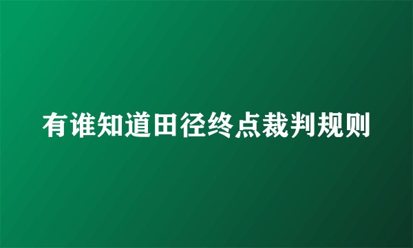 有谁知道田径终点裁判规则