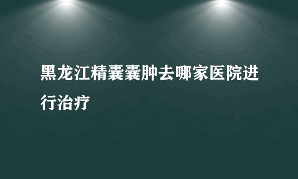 黑龙江精囊囊肿去哪家医院进行治疗