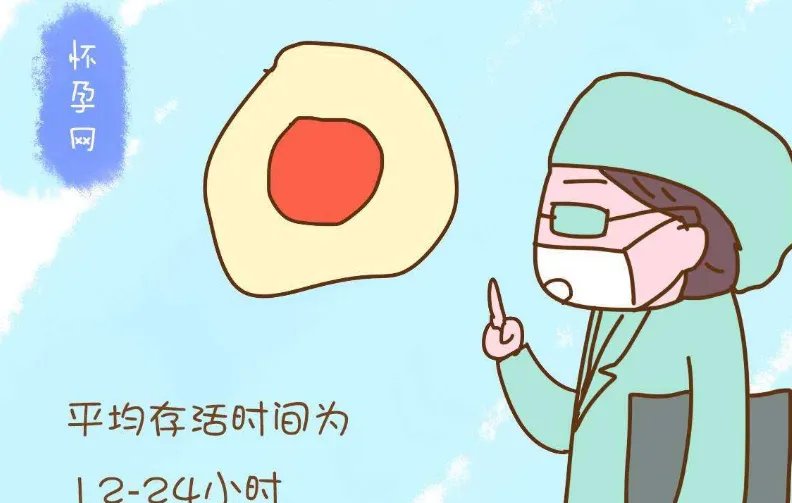 17岁少女1.5万卖卵子险丧命,卵巢糜烂子宫不保,如何警惕此类陷阱?