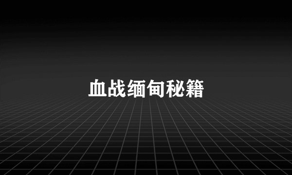 血战缅甸秘籍