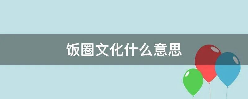 饭圈文化什么意思