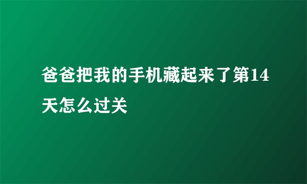 爸爸把我的手机藏起来了第14天怎么过关