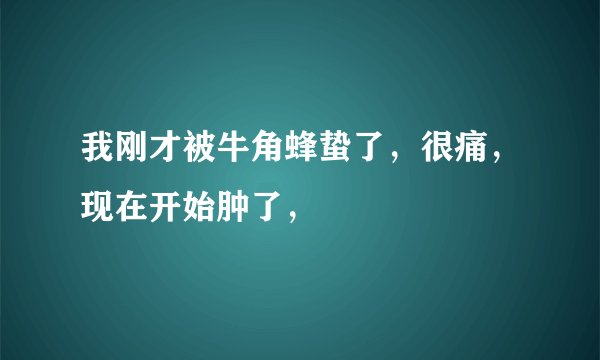 我刚才被牛角蜂蛰了，很痛，现在开始肿了，