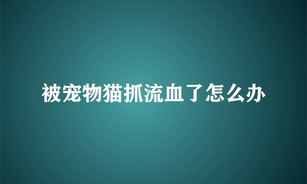 被宠物猫抓流血了怎么办