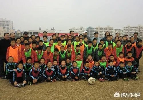 埃尔克森和高拉特倘若真的被顺利归化成功,他们还把国足带入了世界杯!你们会自豪吗?