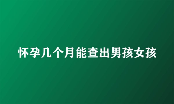 怀孕几个月能查出男孩女孩
