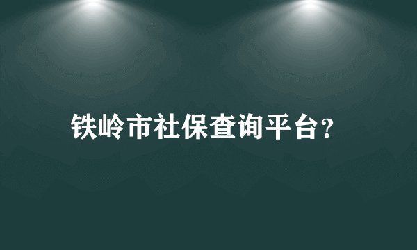 铁岭市社保查询平台？