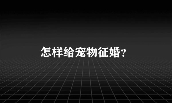 怎样给宠物征婚？