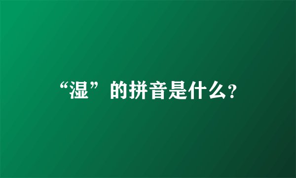 “湿”的拼音是什么？