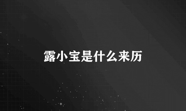 露小宝是什么来历