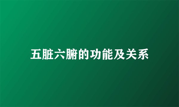 五脏六腑的功能及关系