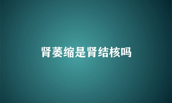 肾萎缩是肾结核吗