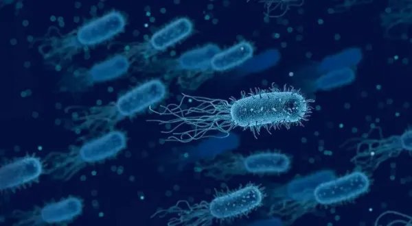 空气中到底有没有微生物呢？它们在哪里？