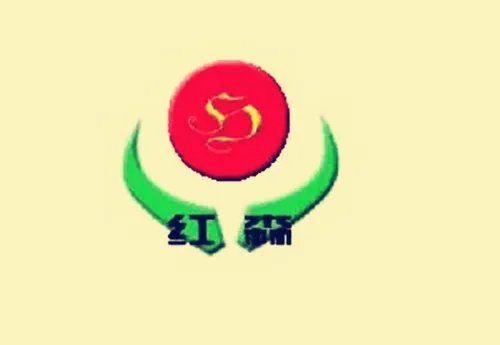 阜阳十大装修公司排名  阜阳哪家装修公司好
