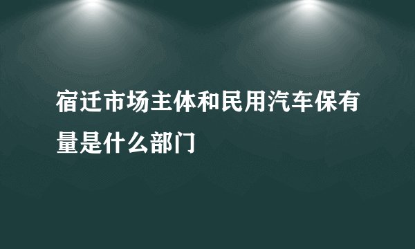 宿迁市场主体和民用汽车保有量是什么部门