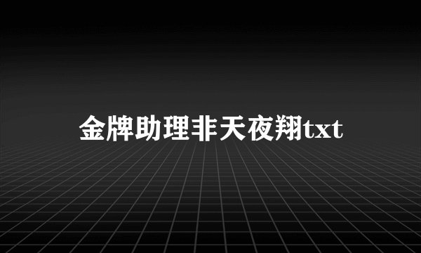 金牌助理非天夜翔txt