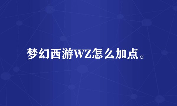 梦幻西游WZ怎么加点。