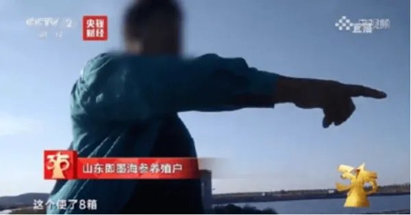 难道敌敌畏泡大的海参,产业链里早已人尽皆知了吗?