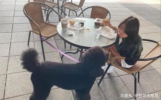 曹格夫妇为女儿庆生,10岁Grace颜值开挂,身材似模特,你怎么看?